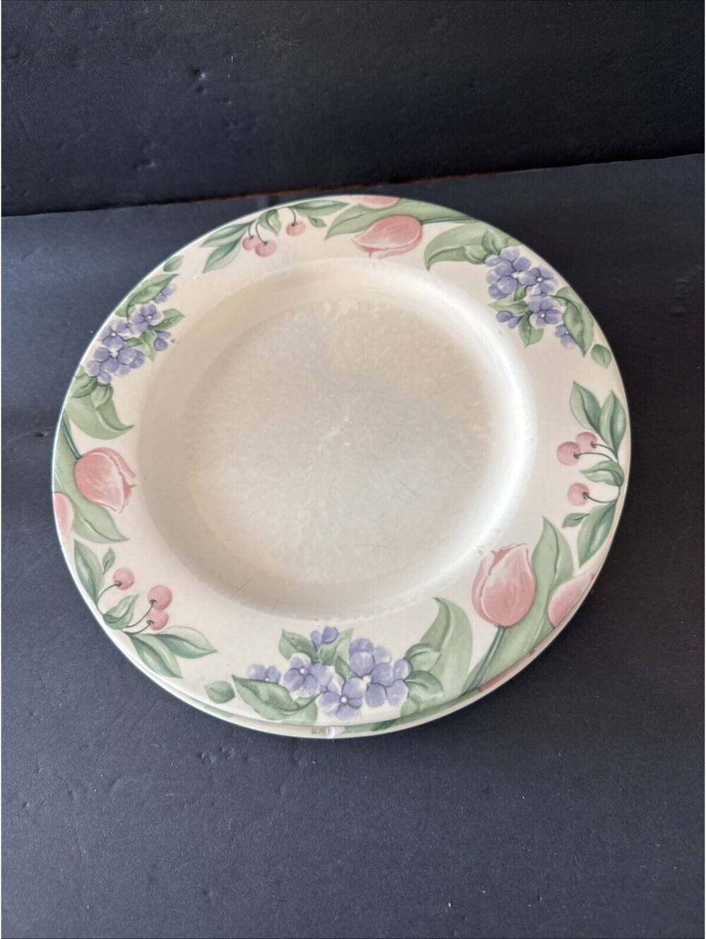 Pfaltzgraff Garden Party Set of 2 Dinner Plates 10-1/2" Scratches Look